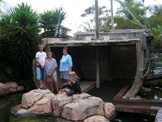 Ship wrecked!