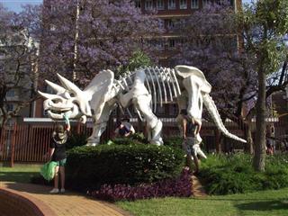 Transvaal Museum