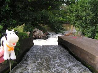 Henley Weir