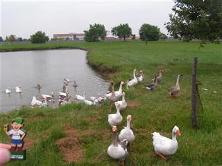 Little Park
