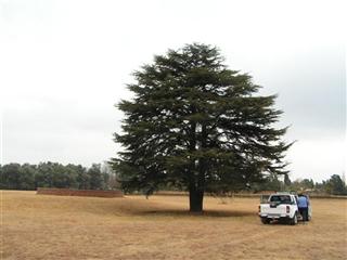 Pumula Park