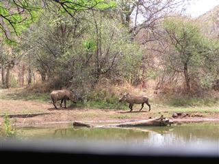 Kwa Maritane