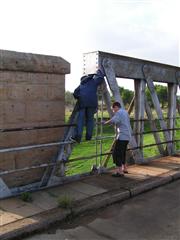 Buffalo Bridge