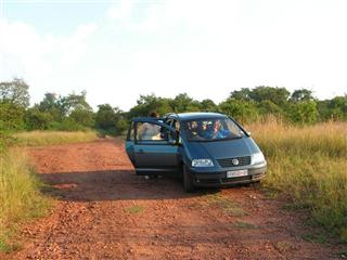 Maroela