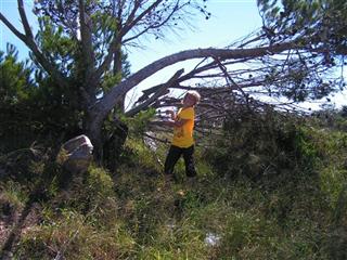 PE Tourism