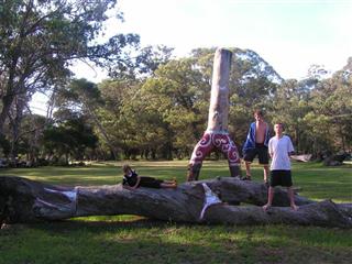 Family Tree