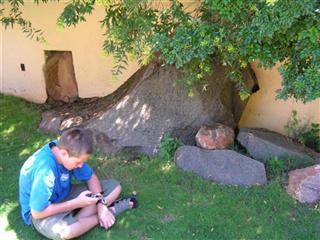 The Rock Garden (Robinson Dyke)