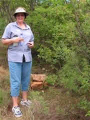 Walter's Protea Rest