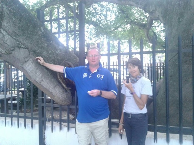 A Tree as Historical Monument