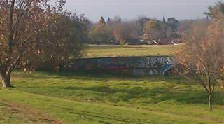 Graffiti Circle