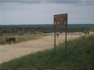 Mathekenyane Granite Kop