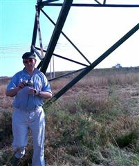 MF2010 Catenary