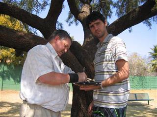 Curse of the FTF # 4 - Gauteng (Banana Park)