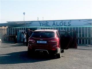 The Aloes