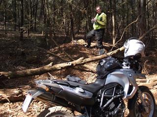 Bluegum Lane 83