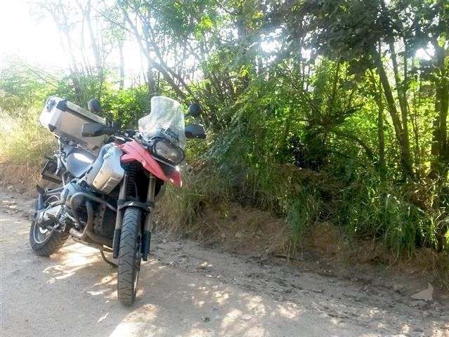 GPS - Bushbaby