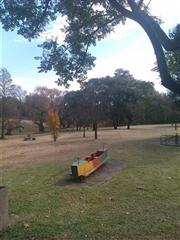 Play Play Park