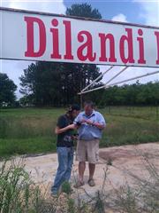 I Wonder No 2 - Dilandi