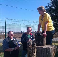 Tree Stump Sculpture