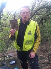 Tree Mail