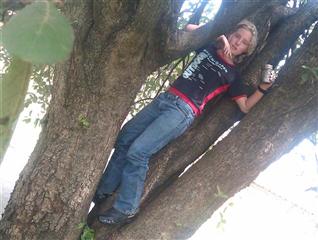 6 Oaks