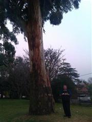 Norwood Park (and Play)