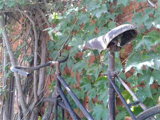WPR - Baie Sukkel