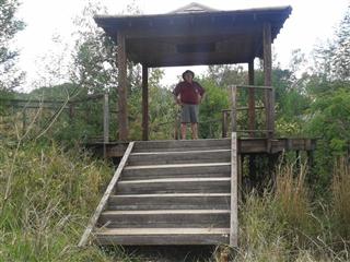 Pagoda-trol