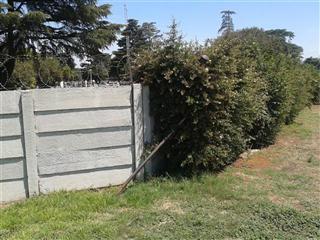 Rest in Peace-Alberton