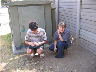 A Cache for MadSons