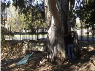 Muggle Park!!!