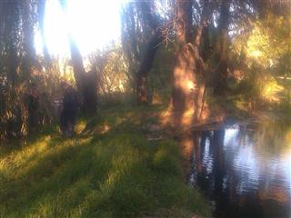 Tadpole Park