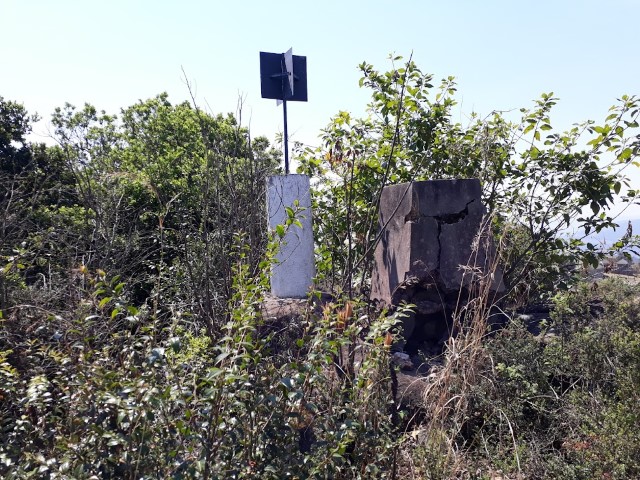 Tribute to Fish Eagle