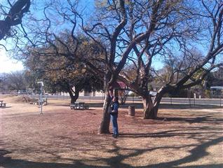 Genesis Park