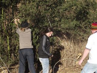 P&M's 50 Cache Dash #13: Little Trees