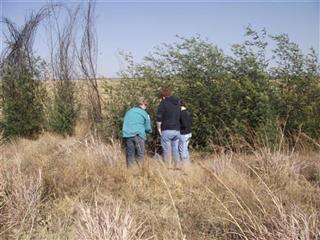 P&M's 50 Cache Dash #30: Tree Line