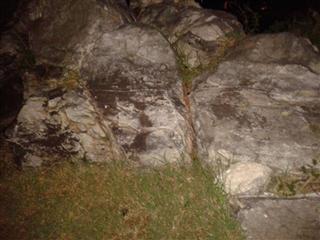 Rock Nest