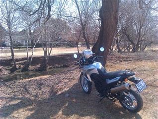 Alcatraz on Braamfontein Spruit