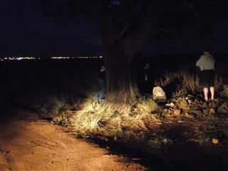 March Hare - Dunblane 2