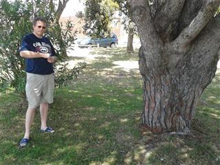 Spring day in a park