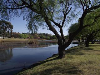 Bass Dam