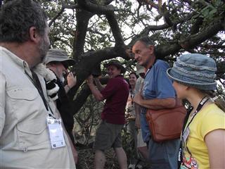 MEGA SA 2012 – Green Cliff View