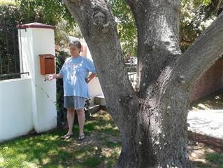 7 Oaks Travel Bug Hotel