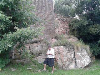 Rock Tree