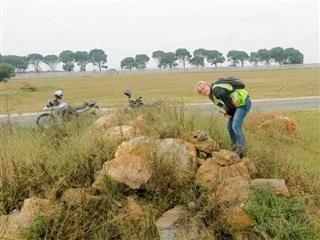 Liefde en Vrede