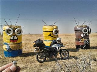 Koppiesvlei