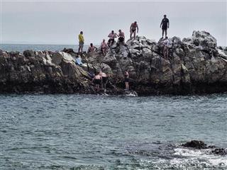 Bird Rock