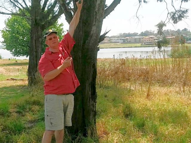 C.R.Swart Park - Tree Bungi