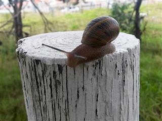 Post