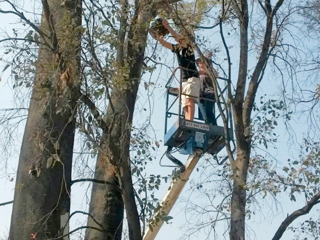 Extra-ordinary Heights: Mikes B-day Cache